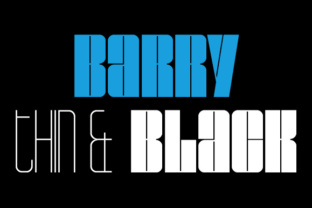 Barry Typeface: A Versatile Font with Practical Appeal